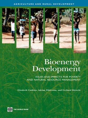 cover image of Bioenergy Development